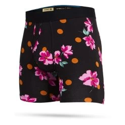 Stance Slotted Wholester Boxers In Black